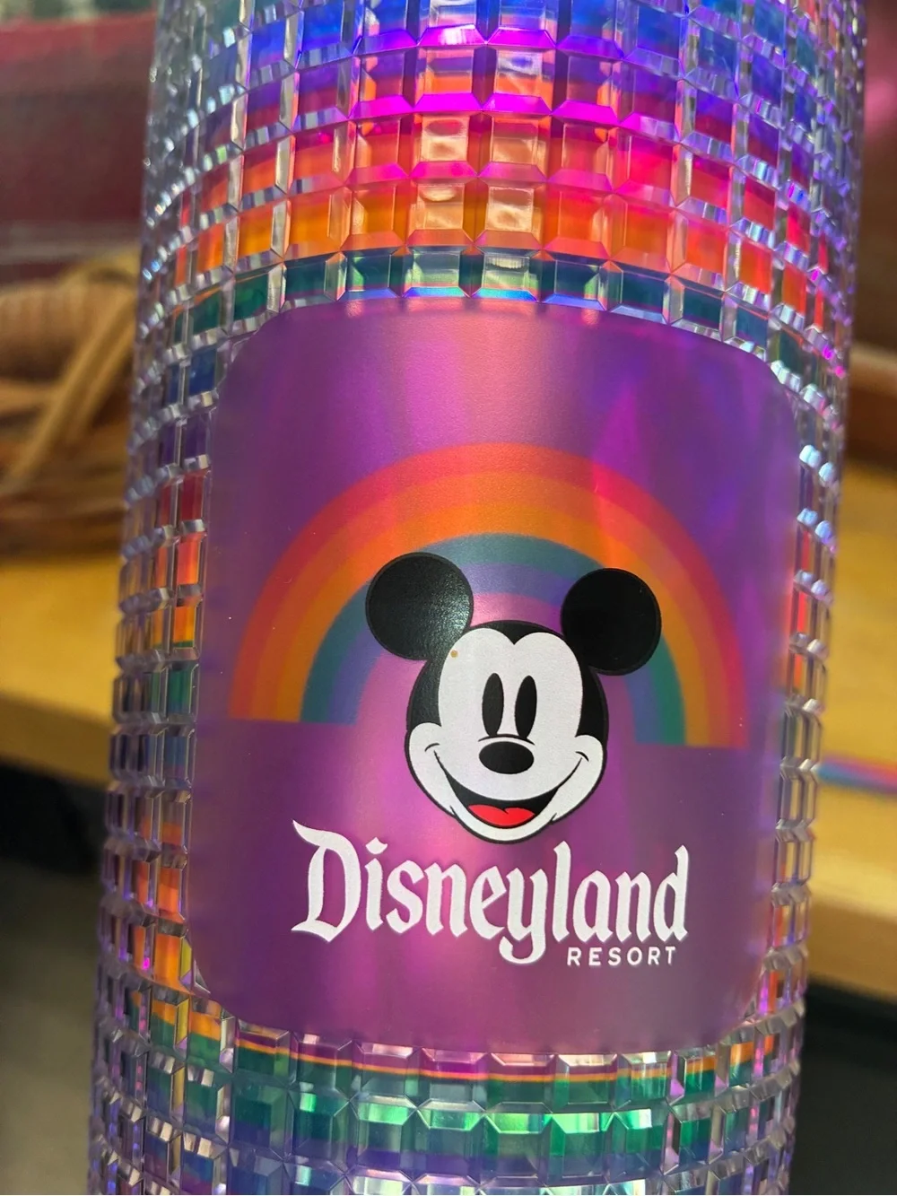 Disney Parks Starbucks Pride Tumbler Rainbow Studded Grid Venti 24oz